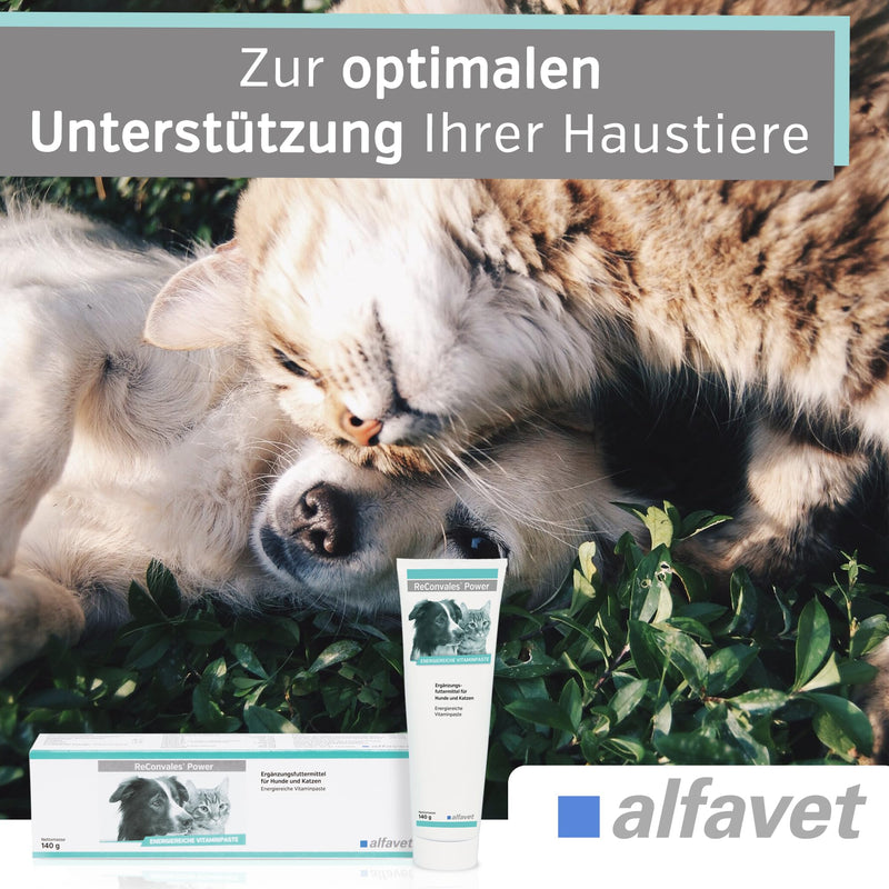 Alfavet ReConvales Power, supplementary food for dogs and cats, poplar paste for underweight, tube 140g 140 g single - BeesActive Australia
