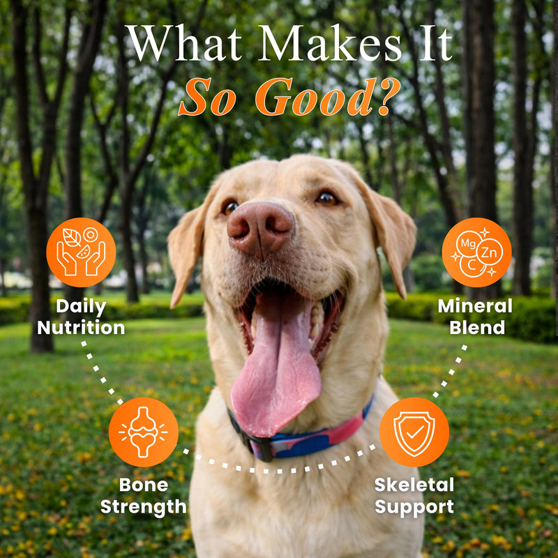 Petroyale 22 in 1 Dog Multivitamin Chews - Taurine Dog Multivitamin & Taurine Supplements for Dog - Dog Vitamins & Supplements for Joints, Skin, Coat & Immunity - Daily Multivitamin - 50 Soft Chews 50 Chew