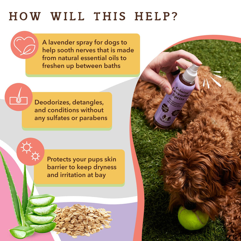 Natural Dog Company Calming Lavender Spritz for Dogs, 8oz – Deodorizing & Moisturizing, Soothes Skin, Conditions Coat, Hypoallergenic, Alcohol-Free, USA Made - BeesActive Australia