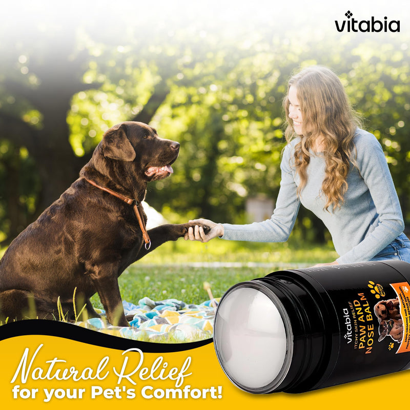 Dog Paw Balm Stick - Pets Skin Treatment With Shea Butter, Vitamin E, Organic Coconut Oil And Apple Cider Vinegar - Cat Acne, irritation and Itchy Dog Skin Relief With Nose Paw Balm for Dogs and Cat
