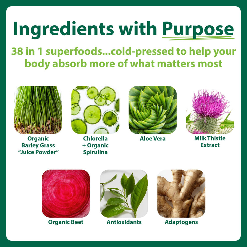 Macro Greens Powder, 10oz | Vegan, Digestive Enzymes, Adaptogens, 18 Billion CFU Probiotics, Non GMO, Vegan, Gluten & Dairy-Free, 30 Servings 10 Ounce (Pack of 1)