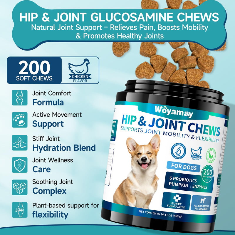 2-in-1 Dog Health Bundle: Allergy & Skin + Hip & Joint Chews (200 Each) - Glucosamine, Omega 3, Turmeric for Itch Relief & Joint Mobility, Chicken Flavor