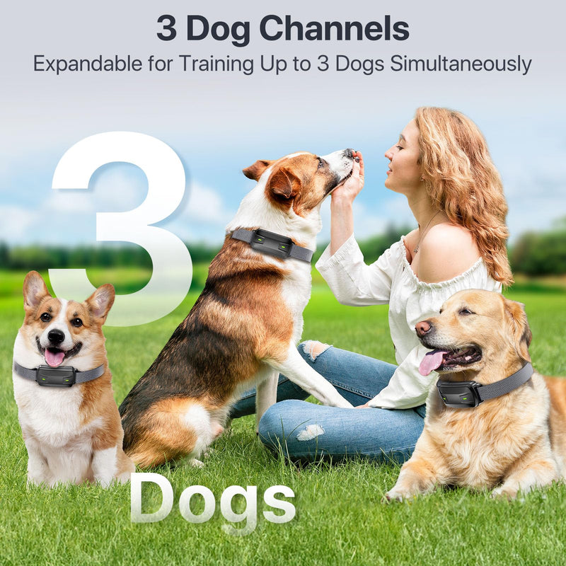 Dog Training Collar, Dog Shock Collar with Remote Control for Medium Large Dogs 40-120lbs Waterproof, Shock Collar for Dogs with Beep Vibration Shock and Security Lock Classic BLK - BeesActive Australia