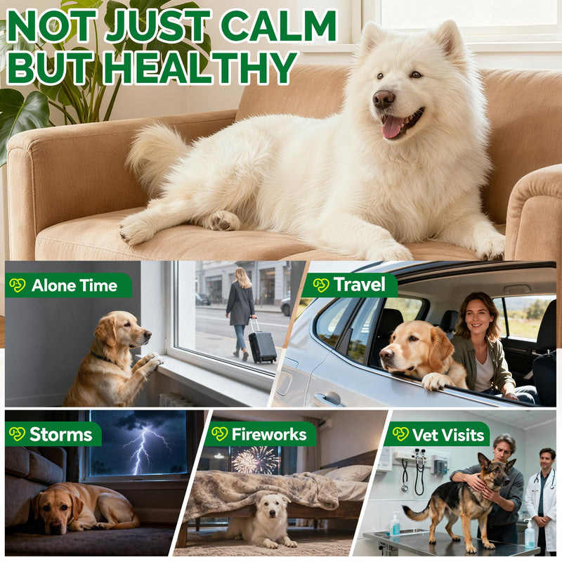 Hemp Calming Chews for Dogs Calming Chews - Anxiety Relief Treats, Dog Calming Relaxing Treats Care Hemp Quiet Moments for Dogs Thunderstorm Fireworks Separation Anxiety Relief, Beef, 120 Ct
