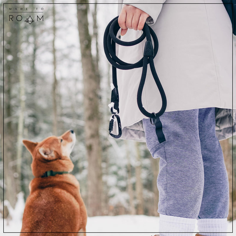 MADE TO ROAM Premium Explorer Leash - Climbing Rope Leash with Autolocking Aviation Aluminum Carabiner - Oregon Haze, 6ft 6 Feet - BeesActive Australia