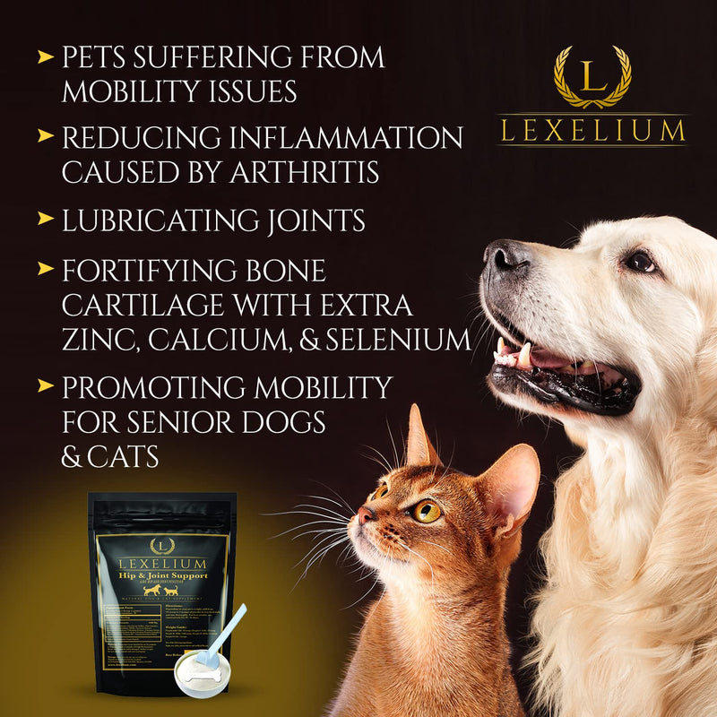 Joint Supplement for Dogs & Cats - Chondroitin Sulfate, Turmeric, MSM, Glucosamine & Calcium for Healthy Bones & Optimal Skeletal Function - Optimal Joint Care to Help w/Arthritis- 200g - PawsPlanet Australia