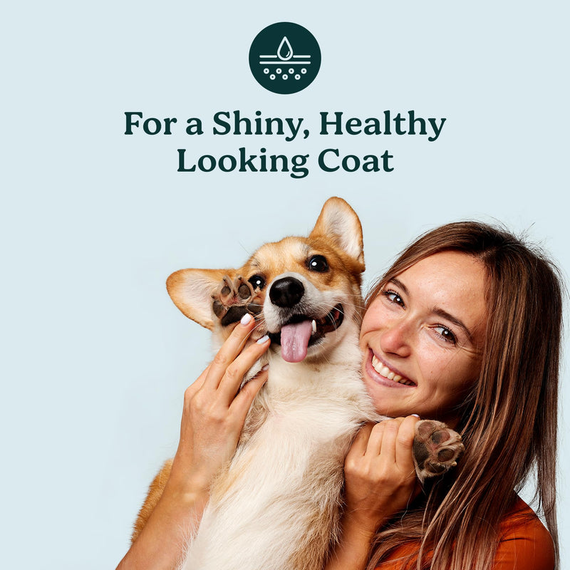 PureBlend Skin & Coat Soft Chews for Dogs — With Colostrum, Salmon Oil, Probiotics & Brewer's Yeast — Dog Coat Supplement — 120 Chews, Up to 4 Month Supply