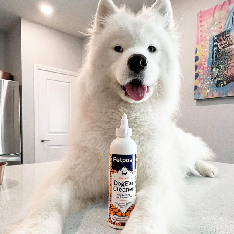 Petpost | Dog Ear Cleaner - Natural Coconut Oil Solution - Best Remedy for Odor - Dog Ear Problems - Chemical & Irritant Free 8 oz. - PawsPlanet Australia