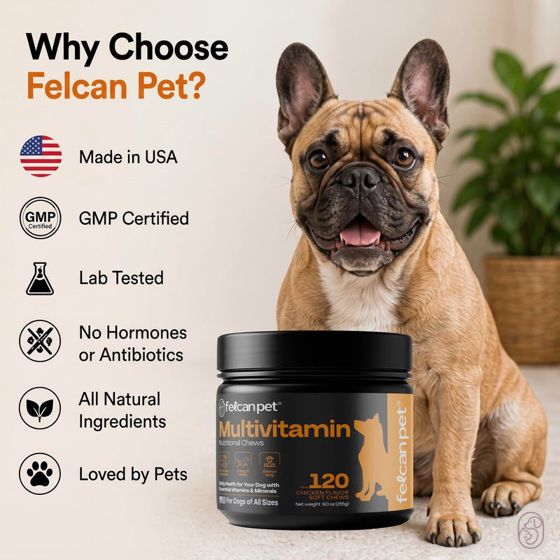 Dog Multivitamin Chews – Daily Dog Vitamins with 19+ Nutrients, Probiotics, Glucosamine & Omega Fish Oils – Supports Energy, Immune Health & Pet Wellness – Chicken Flavor, 120 Soft Chews