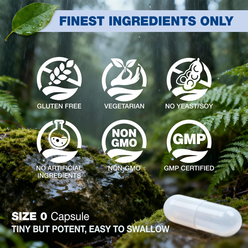 Folinic Acid 1000 MCG + B12 500 mcg (Adenosyl & Hydroxo), 90 ct | Gentle & Highly Absorbable, Supports Energy, Brain Health & Metabolism, Vegan