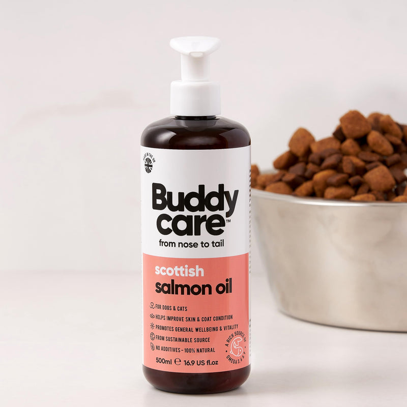 Buddycare Scottish Salmon Oil for Dogs and Cats (500ml x2) 100% Natural & Sustainable Supplement | Rich in Omega 3, 6 & 9 for Boosting the Health & Vitality of your Pet’s Skin, Coat & Immune System 500ml x2