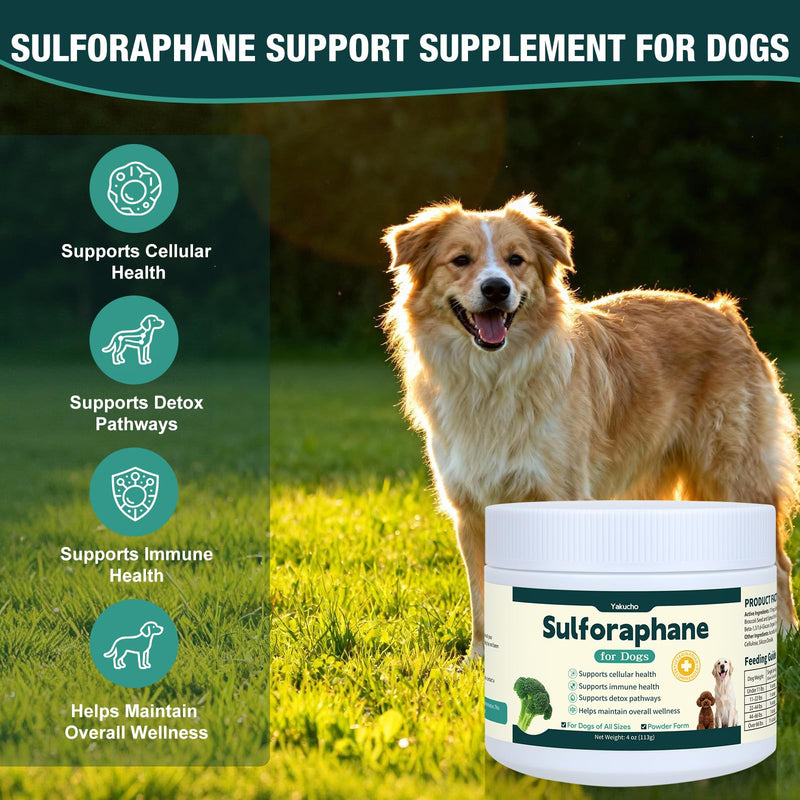Sulforaphane Supplement for Dog, Sulforaphane Powder for Dogs, Promotes Sulforaphane Production, Cellular & Immune Function Support, Easy-to-Use Powder for Aging & Senior Dogs, 4Oz