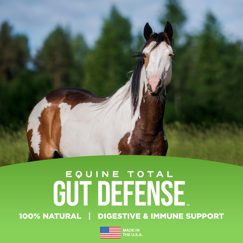 Equine Total Gut Defense– All-Natural Digestive & Immune Support Supplement for Horses – Maintains Ph Levels – Supports Digestion - 100% Natural – Made in USA - PawsPlanet Australia
