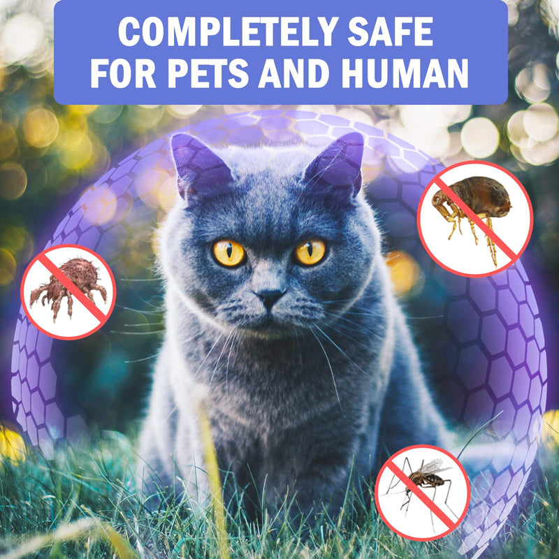 Flea and Tick Collar for Cats, 8 Months of Cat Flea Collar Protection 2 Collars Made with Premium Plant Based Essential Oil Waterproof and Natural Treatment Prevention Free Comb, 2Pack - BeesActive Australia