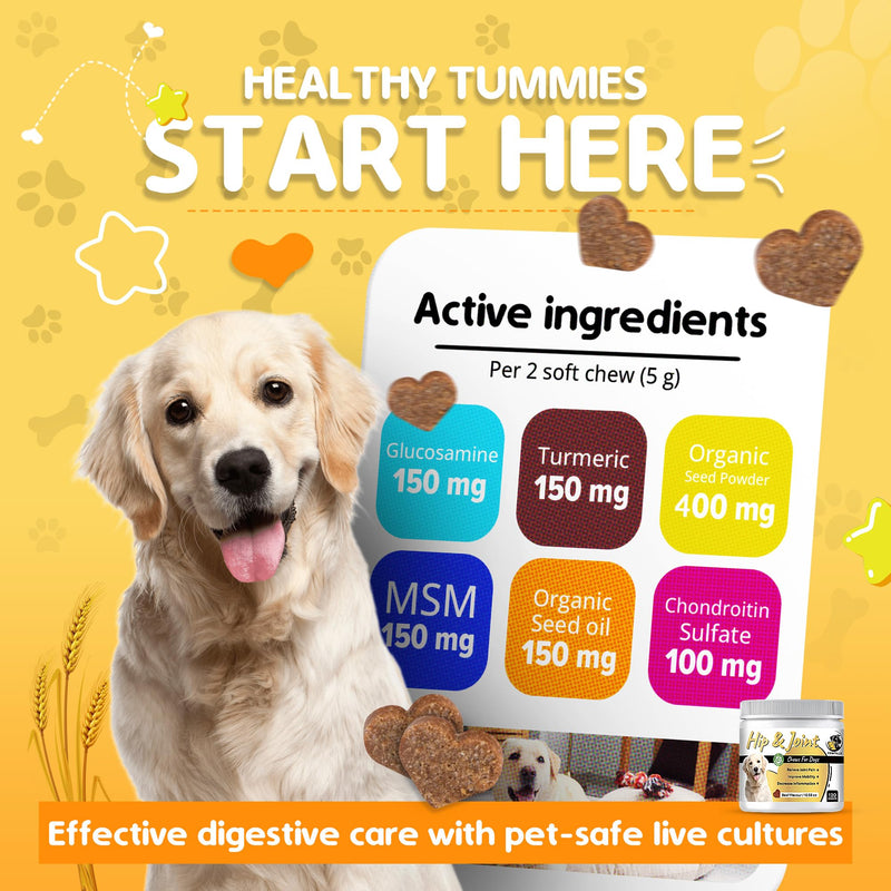 HIP and Joint Chews – Dog Joint Supplement with Glucosamine, Chondroitin & MSM – Supports Cartilage, Hip & Joint Health – Soft Chews for Senior & Adult Dogs – 120 Chews, Natural Beef Flavor