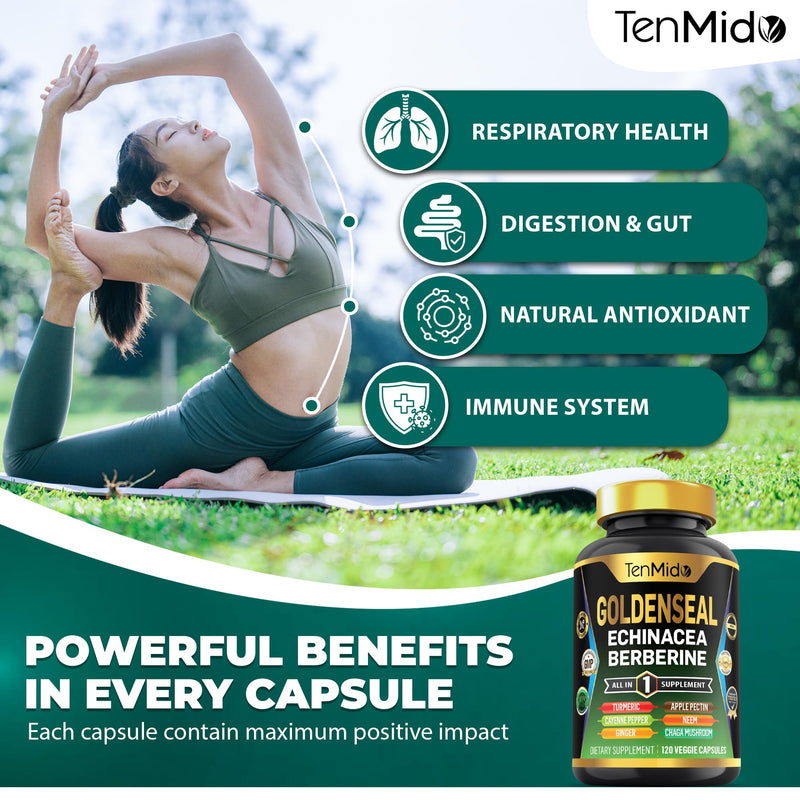 Goldenseal Root Supplement - 10in1 Formula - Combine with Echinacea, Berberine, Turmeric, Cayenne Pepper, Ginger, Apple Pectin, Neem, & More - Digestive Health Support - 120 Capsules