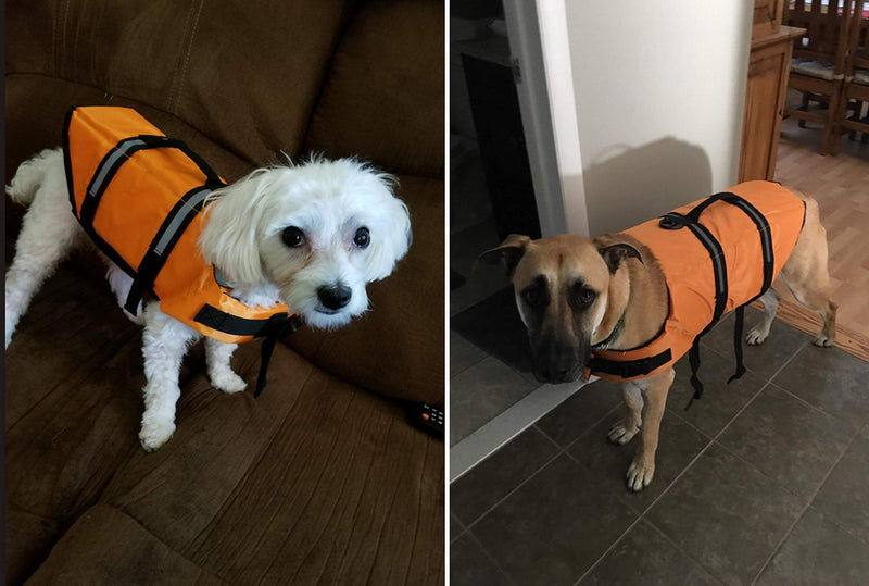 Dog Life Jacket Easy-Fit Adjustable Belt Pet Saver Swimming Safety Swimsuit Preserver with Reflective Stripes for Doggie (M, Orange) M