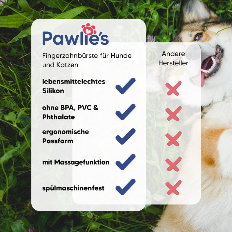Pawlie's toothbrush for dogs and cats | Practical dog toothbrush fingerling for dental care | Brushing your dog's teeth - Cat & Dog Toothbrush | Finger toothbrush puppies | Dog dental care (2 pieces) - BeesActive Australia