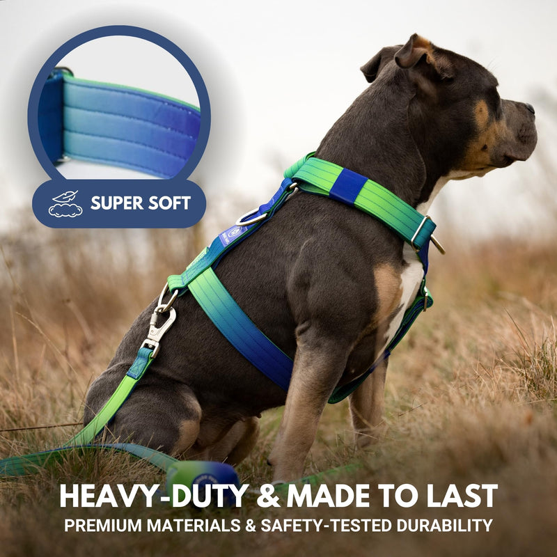 Spark Paws No-Pull Dog Harness - Designed for Safety and Control, Ideal for Large, Strong Breeds - Pitbulls, Boxers - Lime Wave - L Size L [80-150lbs] - BeesActive Australia