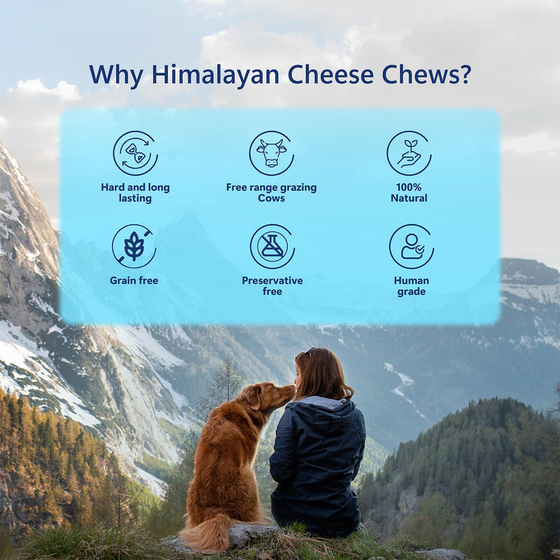 Himalayan Cheese Chew Bars (Small||Multipack in a tub) Regular