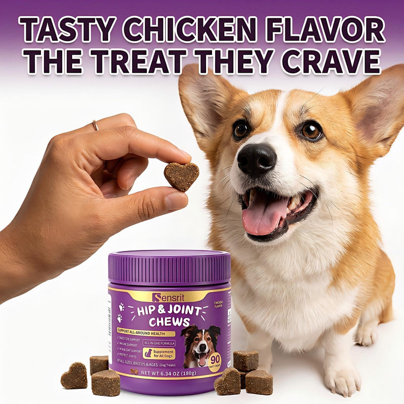 Hip and Joint Chews for Dogs - All-in-One Mobility Support with Glucosamine, MSM, Chondroitin & Green Lipped Mussel - 90CT Chicken Flavor - Helps with Dog Stiffness, Limping & Recovery.