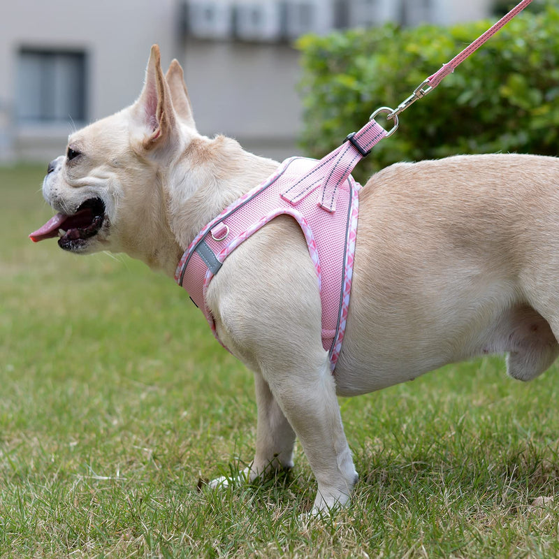Soft Mesh Dog Harness and Leash Set, No-Chock Step-in Reflective Breathable Lightweight Easy Walk Escape Proof Vest Harnesses with Safety Buckle for Small Medium Dogs, Cats (Pink, S) Pink - BeesActive Australia