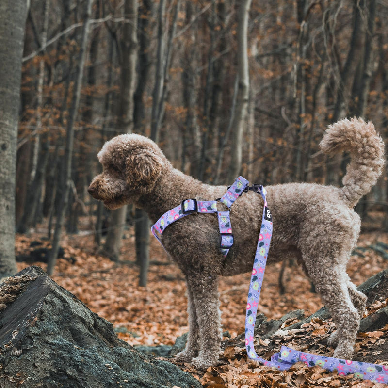 QQPETS Dog Harness Leash Set Adjustable Heavy Duty No Pull Halter Harnesses for Small Medium Large Breed Dogs Back Clip Anti-Twist Perfect for Walking L(23"-32" Chest Girth) Floral Purple - BeesActive Australia