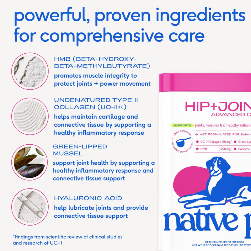 Native Pet Joint & Allergy Defense Pack: Hip & Joint Supplement for Dogs - Supports Joints, Cartilage, Muscles & Anti-Inflammatory & Dog Allergy Relief with Probiotics and Colostrum - 30 Count