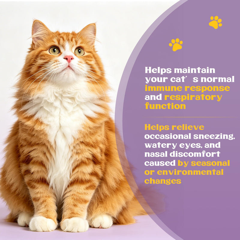 L-Lysine for Cats - Lysine for Cats Supports Immune System, Respiratory & Eye Health - Cat Supplement with Taurine, Omega-3, Vitamins & Herbal Blend - Chicken Flavor Gel, Easy to Feed, 60 ML (2 packs) 2PCS