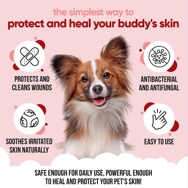 Buddycare Pet Antiseptic Spray (200ml) Dog Antiseptic Spray & Cat Antiseptic Spray Effective Dog Wound Spray, Suitable for All Pets, Pet Wound Care Solution 200ml (Pack of 1)