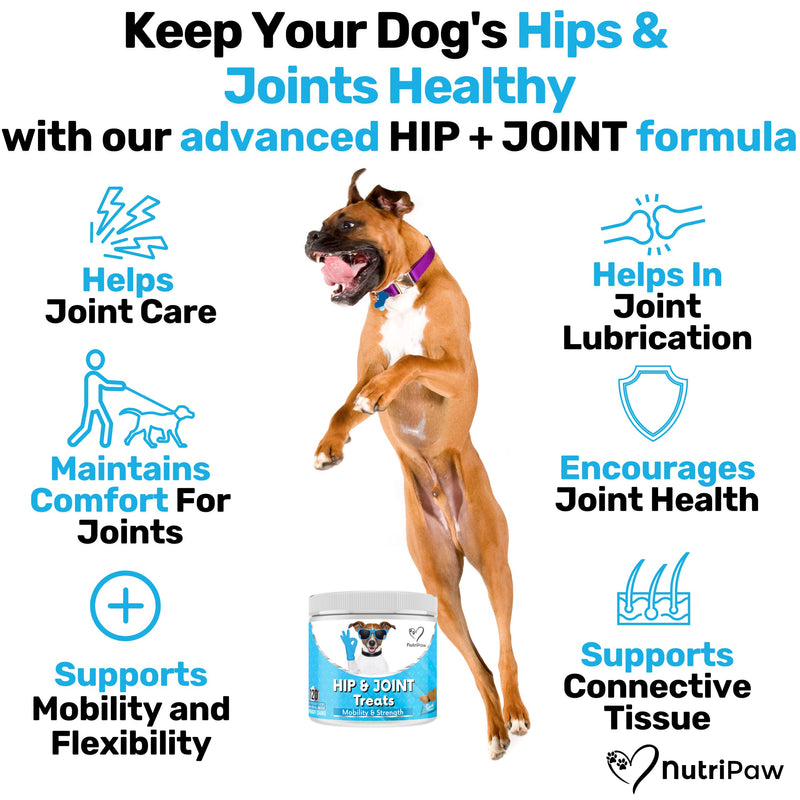 NutriPaw Joint & Hip Treats For Dogs - Stiffness, Strength, Mobility & Flexibility - Joint Supplement With Glucosamine, MSM, Chondroitin, Algae & Devils Claw - Perfect for Small, Medium & Large Dogs Single Pack