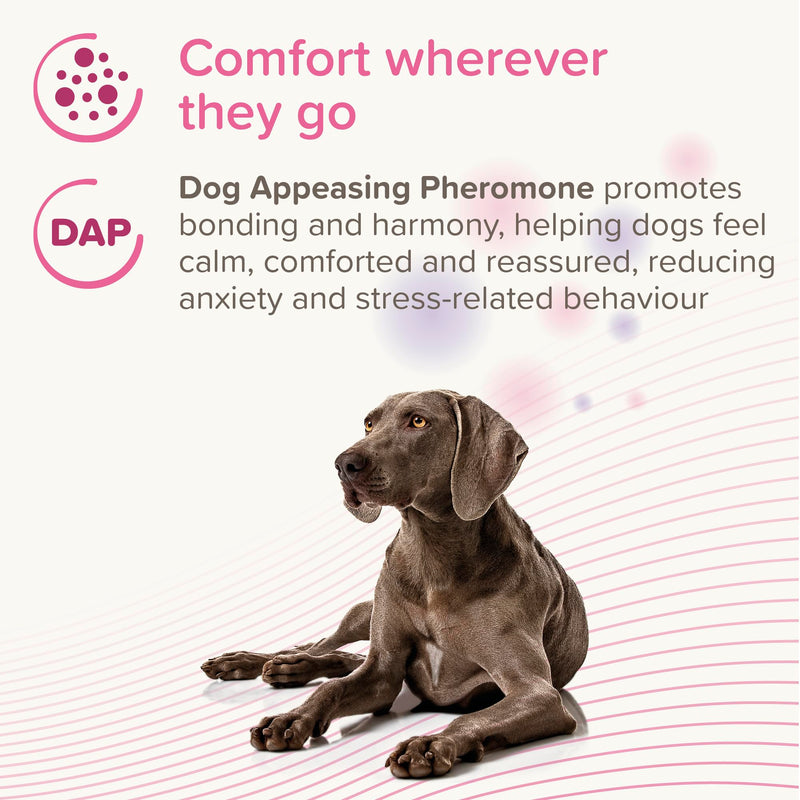 Beaphar - CaniComfort® Calming Spot-On For Dogs- Reduces Anxiety & Stress – Pheromone Calming - Fast-Acting - Starts Working in 15 Minutes - Ideal for Short-Term Events like Fireworks - 3 Pipettes
