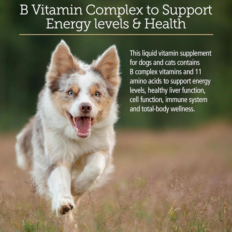 Rx Vitamins Amino B Plex for Pets - B Vitamin Complex Plus Amino Acids for Dogs & Cats - Vitamin Supplements for Dogs' & Cats' Total Body Support - 4 oz - BeesActive Australia