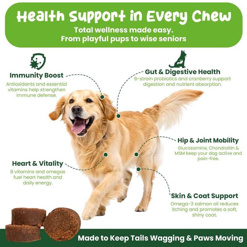 Vibin’ Tails 24-in-1 Dog Multivitamin, Glucosamine Chondroitin Hip & Joint Support, Probiotics & Omega-3, Skin & Coat - Puppy & Senior Chewable Dog Vitamins & Supplements Vet Formulated - 120ct Bacon Bacon - 120 Chews