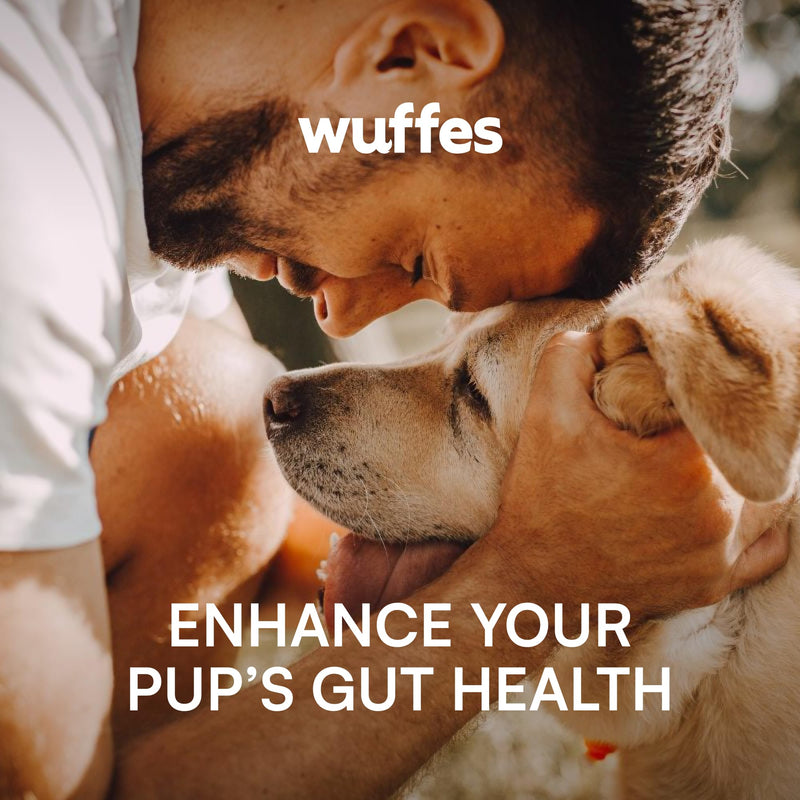 Wuffes Daily Probiotic for Dogs - Supports Digestive Health, Gut Balance, and Immune System - with Prebiotics, Marshmallow Root, and Pumpkin Powder - 2 Pack - 120 Soft Chews - PawsPlanet Australia