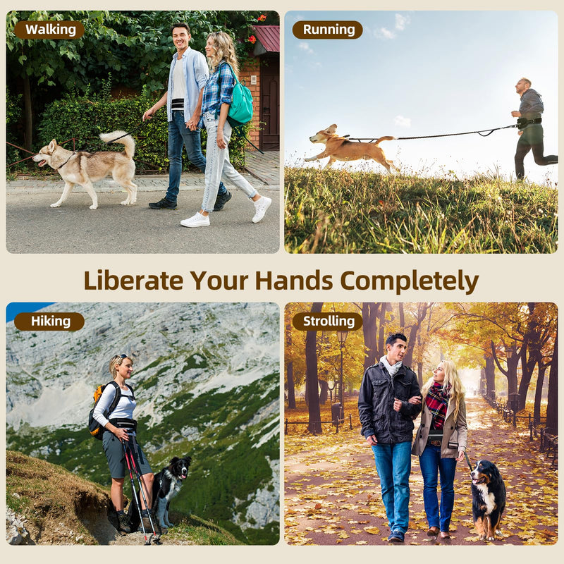 Hands Free Dog Leash with Zipper Pouch, Dual Padded Handle Dog Waist Belt, Retractable Bungee Leash with Reflective Stictches for Small & Medium Dog Running Walking Jogging Training, Black - BeesActive Australia