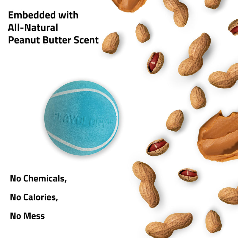 Playology Squeaky Chew Ball for Dogs | Engaging All-Natural Peanut Butter Scented Dog Toy for Large to X-Large Dogs 50lbs & up | Squeak, Fetch, and Play! Jumbo - BeesActive Australia