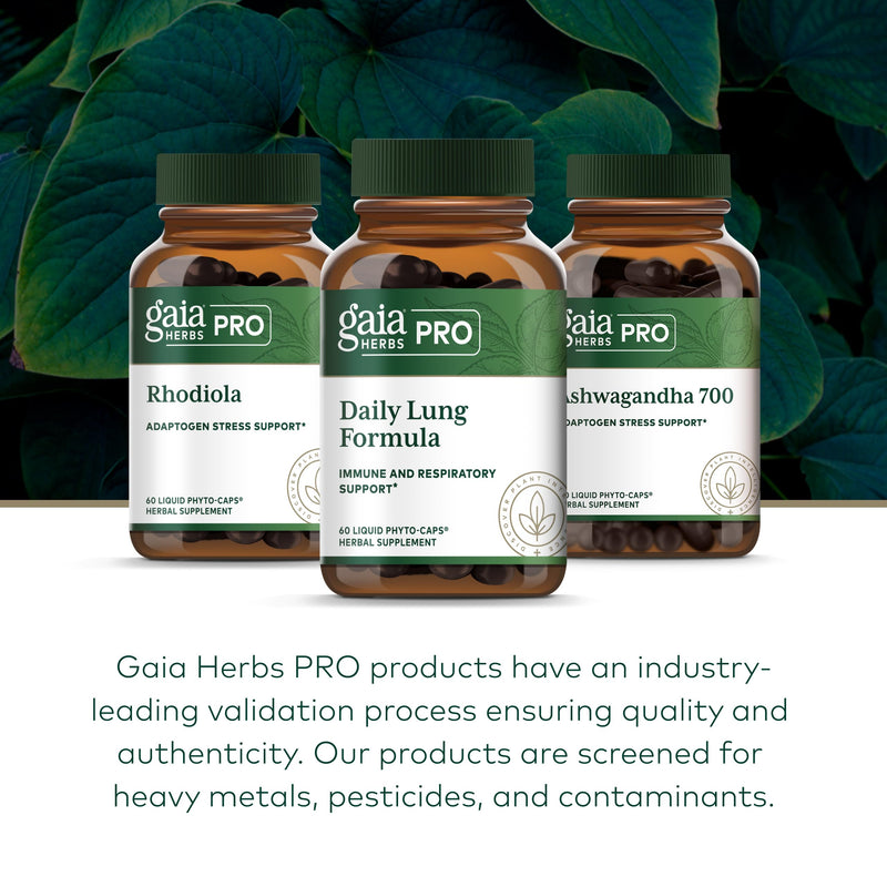 GAIA HERBS PRO Daily Lung Formula - Respiratory Health Support* - Immune Supplement with Mullein Leaf, Marshmallow Root & More - Vegan, Gluten-Free, Soy-Free - 60 Liquid Phyto-Caps (60 Servings)