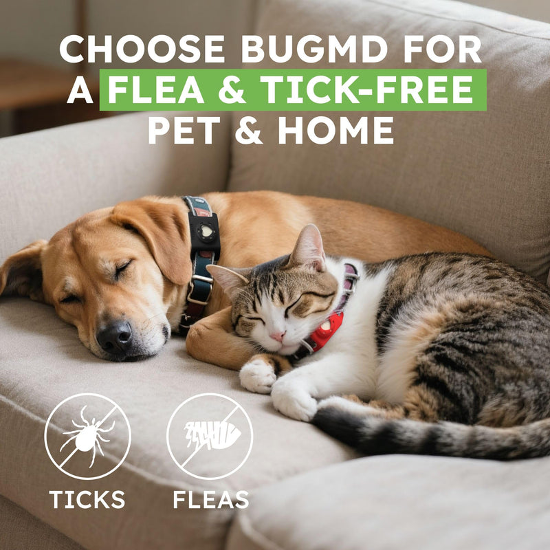 Bug MD Paw Guardian Refill, Plant-Powered Flea & Tick Protection Tablets, 3 Count, 30-Day Protection, Natural Essential Oil Formula 1 Pack