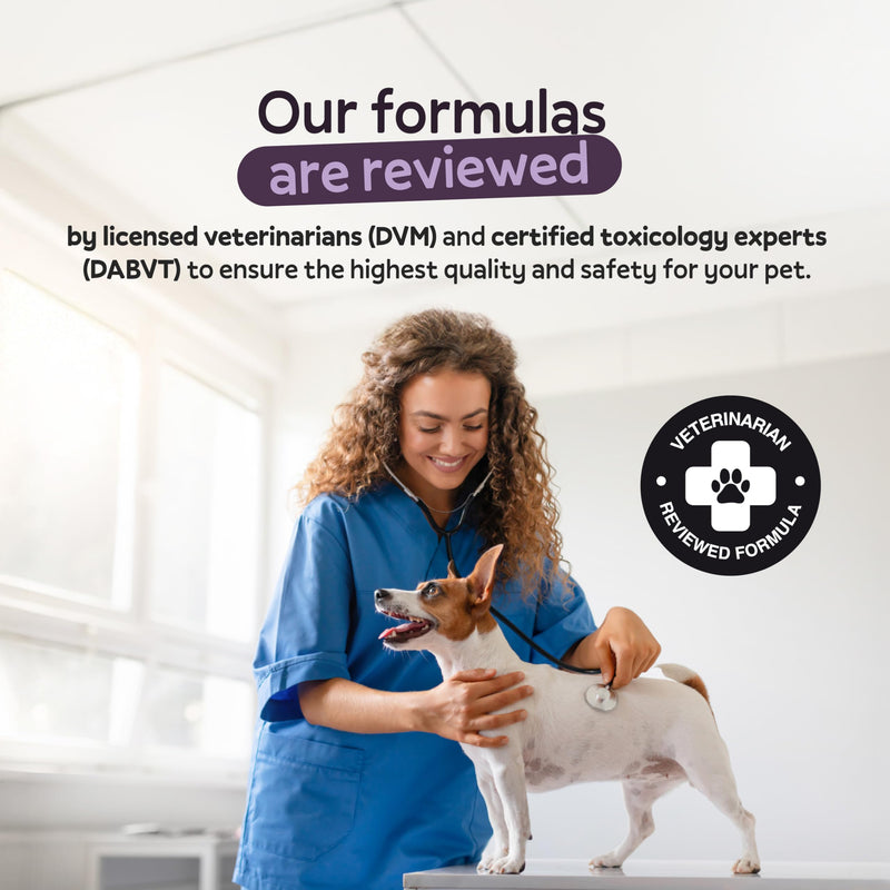 Oliver’s Gut™ Allergy & Immune Chews. Immune Support · Dog Supplement for Itchy Skin and Allergy Aid. Quercetin, Wild Alaskan Salmon Oil, Colostrum, Turmeric. Beef - 120 Count.