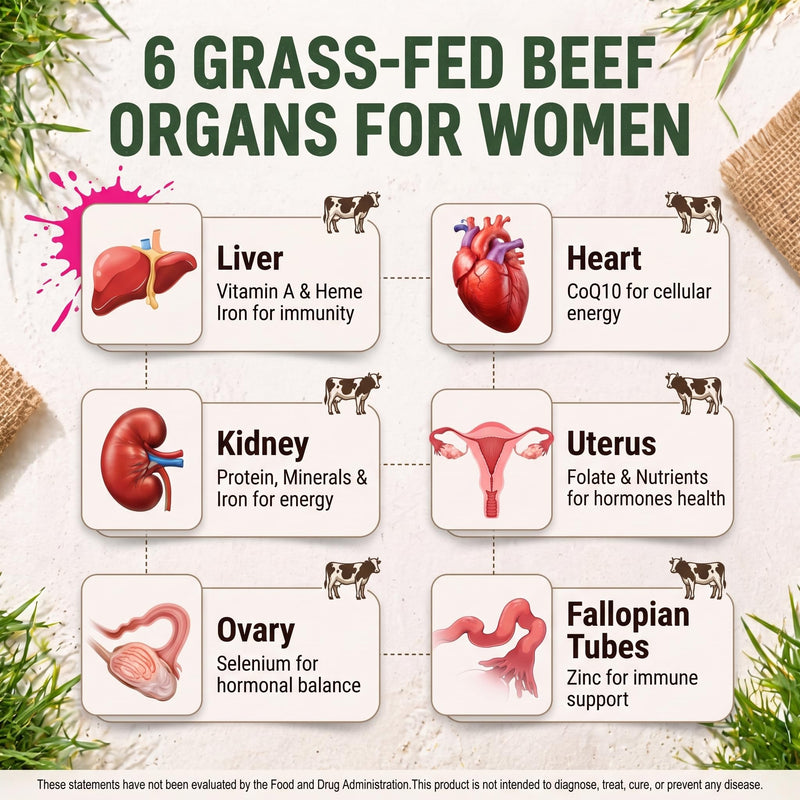 Beef Organ Supplement for Women, Support Hormone Balance | Support Cycle Health, Energy & Immunity, 90 Capsules with Natural Grass Fed Beef Liver, Kidney, Heart, Uterus Tissue & More