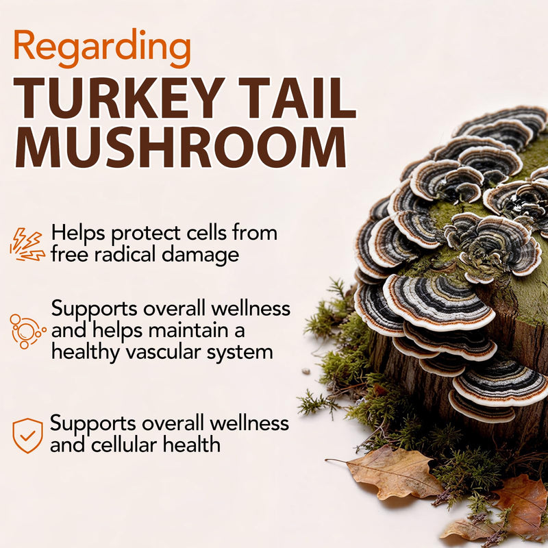 Turkey Tail Mushroom for Dogs & Cats - Immune Defense for Pets, Immune & Digestive Drops with 5X Mushrooms, Turmeric & Probiotic