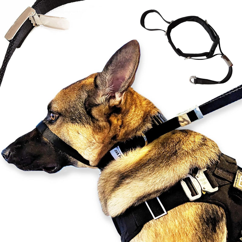 PetsProMax No-Pull Dog Headcollar for Large Dogs (Agressive/Reactive Dogs; Instant Stop Pulling; Gentle Training Collar for Dogs; Comfortable, Safe, and Effective Walking/Training Solution (Black, L) 0.5 Inch Wide Large (L) - BeesActive Australia