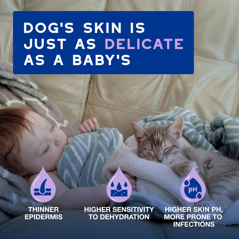 Douxo Spa Low-Stress Refresh Leave-on Mousse for Cats, 150 ml, Safely Cleans and Refreshes the Fur, Leaves the Coat Soft, Radiant and Smelling Great, pH Balanced, Hypoallergenic, Skin-Friendly Formula