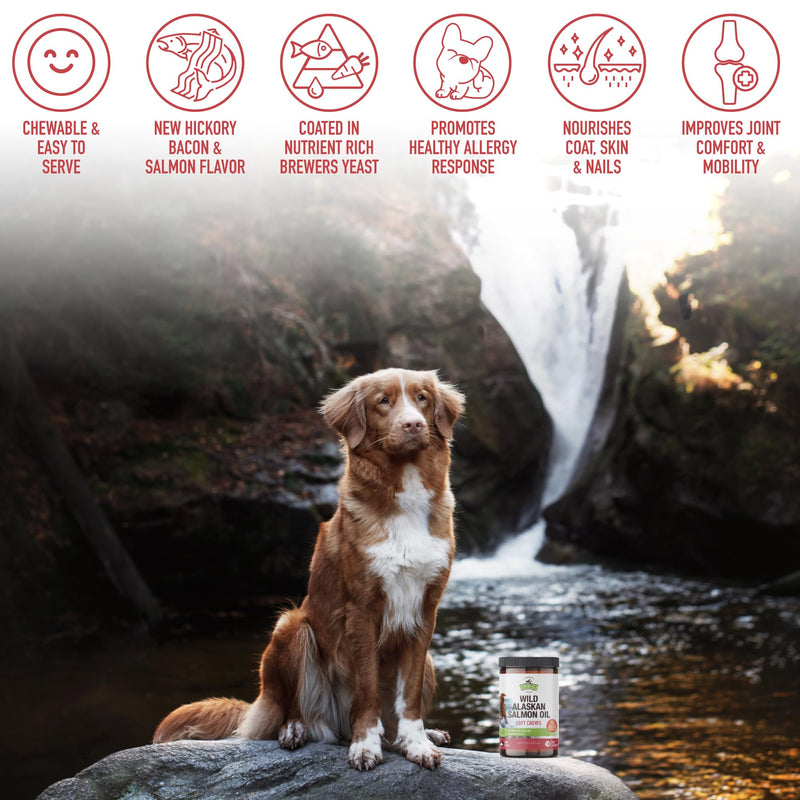 Strawfield Pets Salmon Dog Chews Omega 3 Fish Oil Chews with Wild Alaskan Salmon Oil Skin & Coat + Seasonal Allergy Support Hip & Joint Dog Supplement + EPA & DHA Made in USA