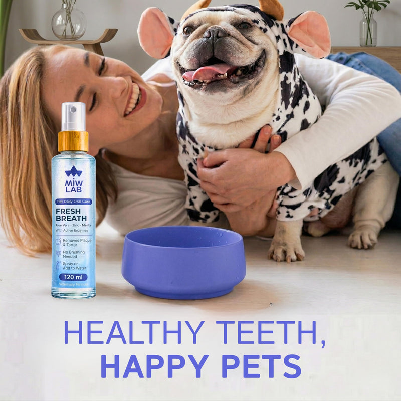 Oral Spray for Dogs and Cats Against Bad Breath with Digestive Enzymes Mild Mint Aloe Vera Zinc Water Additive Eliminates Bad Odor without the need for a Dog or Cat Toothbrush