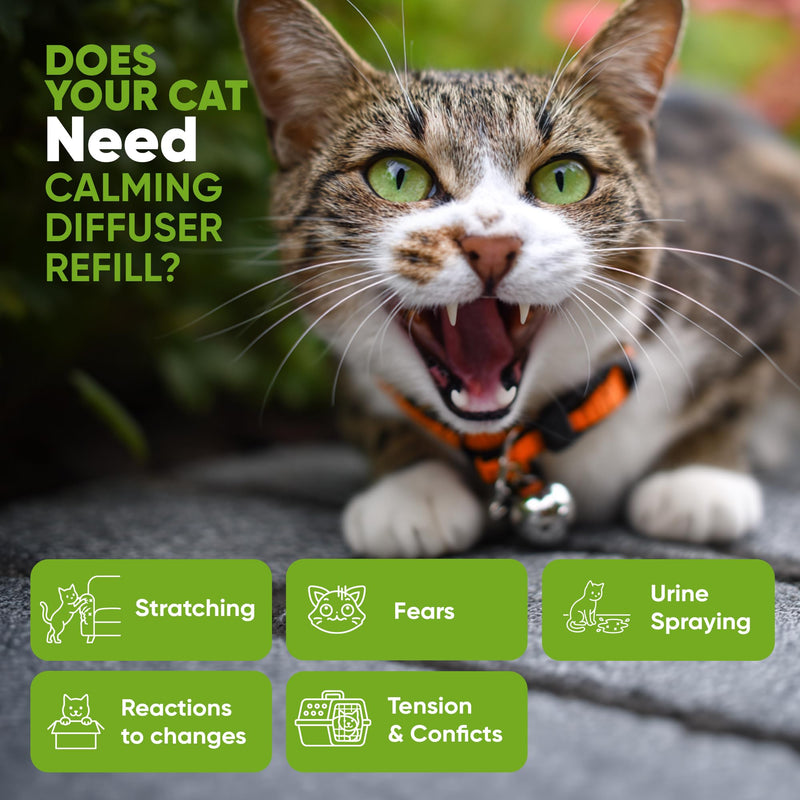 STUNICK CC1 Cat Calming Diffuser, Calming Pheromones, 60 Day Supply, 1 Diffuser and 2 Refills for Stress, Pee Spraying, Cat Fighting, Aggression, Excessive Meowing & Scratching | Odorless 1 Pack