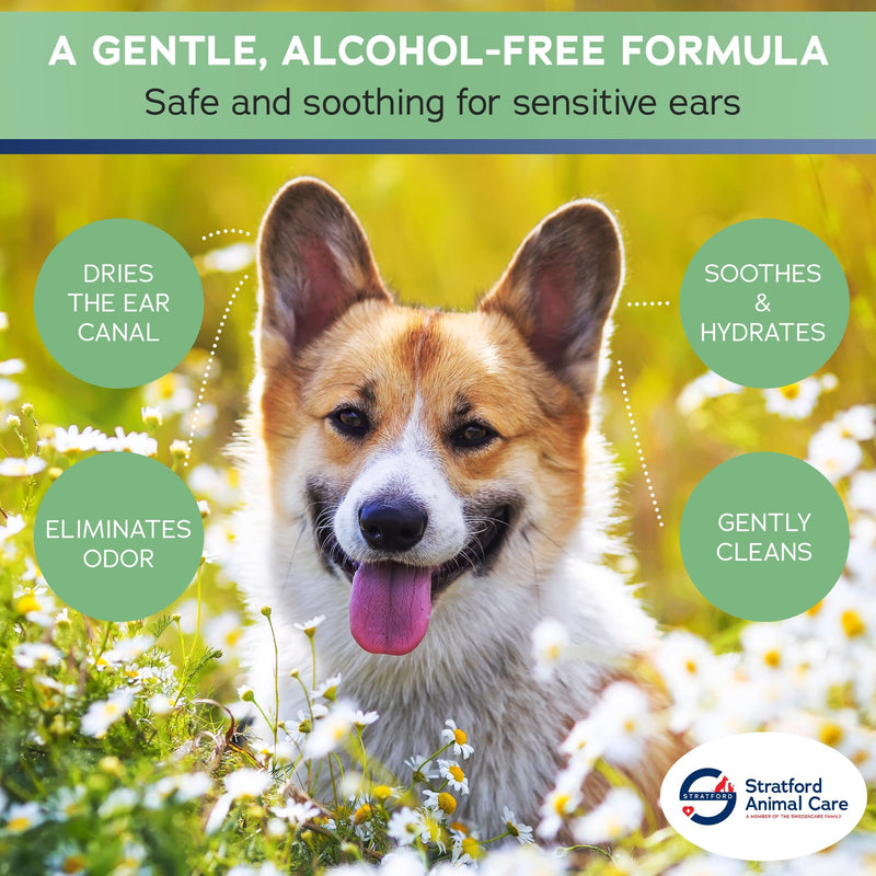 Stratford Pharmaceuticals Ear Cleaner & Drying Solution for Dogs & Cats w/Aloe Vera to Wash Debris, Wax, Odor & Irritation Relief, Sweet Pea Vanilla Scent, 8 oz - BeesActive Australia