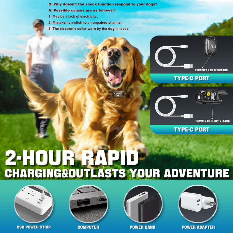 Dog Shock Collar - [2025 Newly Upgraded] Dog Training Collar with Remote, IPX7 Waterproof Electric Collar with Unique Shock-Lock, Rechargeable E-Collar for Small Medium Large Dogs All Breeds Black 1-PACK - BeesActive Australia