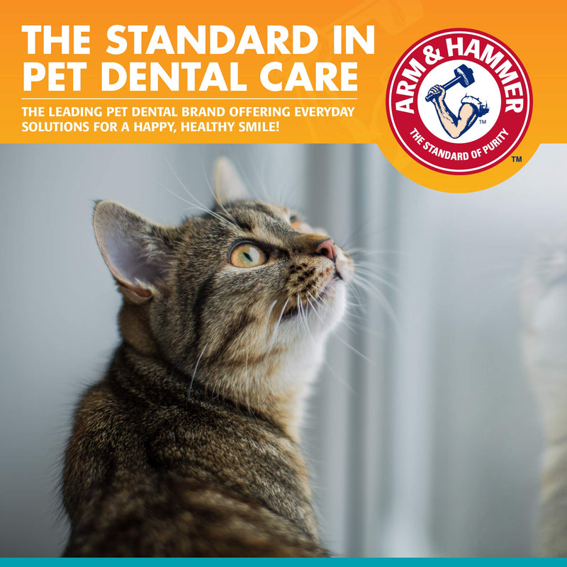 Arm & Hammer for Pets Dental Kit for Cats | Eliminates Bad Breath | 3 Piece Set Includes Cat Toothpaste, Cat Toothbrush & Cat Fingerbrush in Tasty Tuna Flavor,2.5 ounces 2.5 Ounce (Pack of 1) - BeesActive Australia